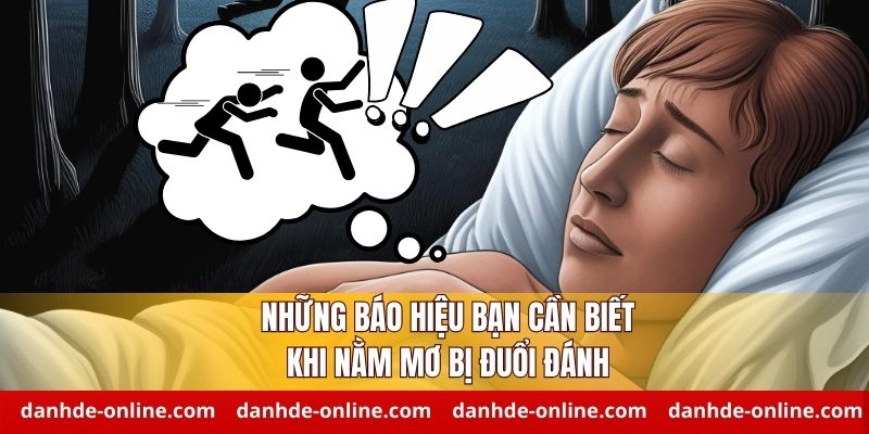 Nằm Mơ Thấy Mình Bị Đuổi Đánh Báo Hiệu Điều Gì 2 Những báo hiệu bạn cần biết khi nằm mơ bị đuổi đánh