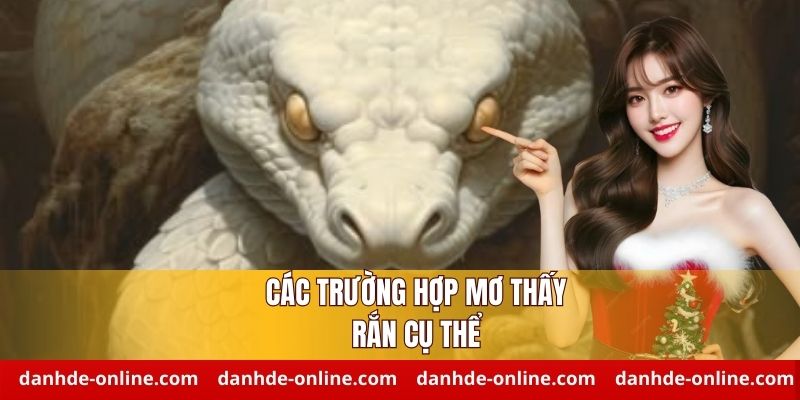 Phân tích ý nghĩa mơ thấy rắn trong từng tình huống