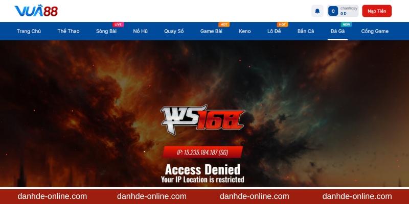 Đá gà trực tiếp từ trường gà Thomo