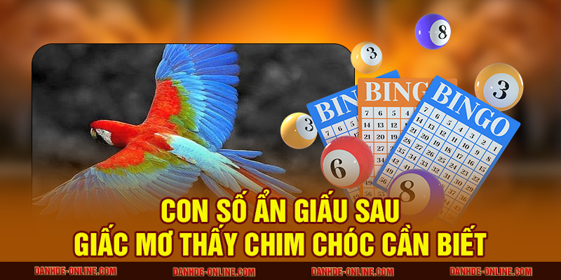 Con số ẩn giấu sau giấc mơ thấy chim chóc cần biết