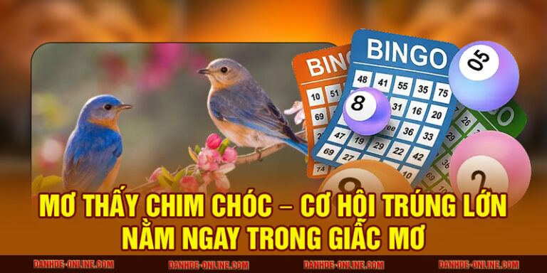 Mơ thấy chim chóc